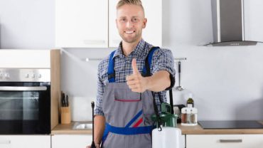 Portrait Of Confident Pest Control Worker With Pesticide Container In Kitchen