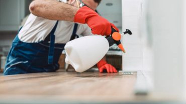 Professional worker in protective workwear using sprayer for disinfection and disease control. Covid-19 and coronavirus pandemic concept.