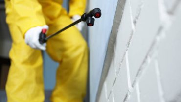 Pest control worker spraying pesticide indoors, closeup